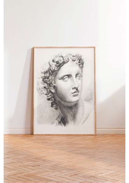 Ahşap Çerçeveli Tablo, Klasik Heykel Portresi Çizim, Ofis Dekoru Poster No: 113633 modelleri