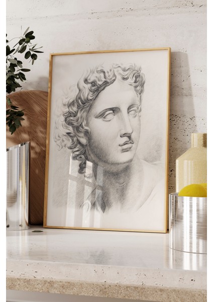 Ahşap Çerçeveli Tablo, Klasik Heykel Portresi Çizim, Ofis Dekoru Poster No: 113633 fırsatları
