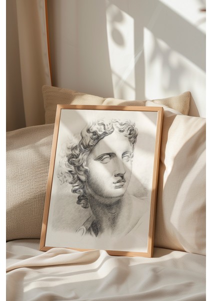 Ahşap Çerçeveli Tablo, Klasik Heykel Portresi Çizim, Ofis Dekoru Poster No: 113633 indirimleri