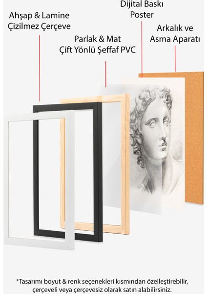 Ahşap Çerçeveli Tablo, Klasik Heykel Portresi Çizim, Ofis Dekoru Poster No: 113633