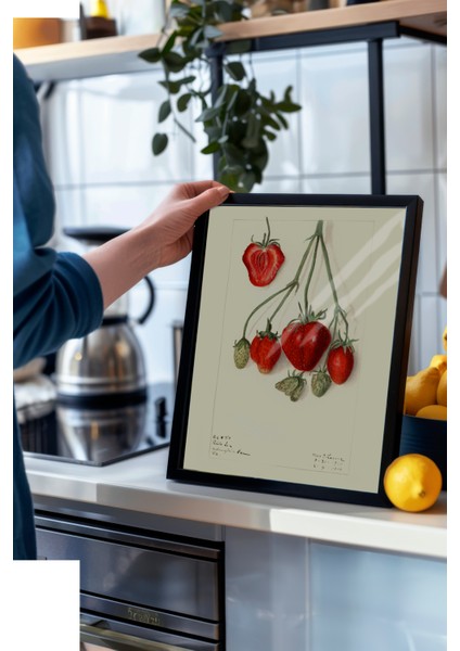 Siyah Çerçeveli Tablo, Kırmızı Çilek Eskizi, Mutfak Dekoru Poster No: 113525 modelleri