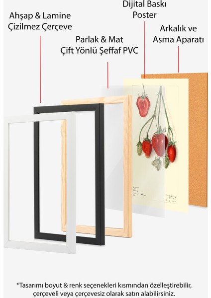 Siyah Çerçeveli Tablo, Kırmızı Çilek Eskizi, Mutfak Dekoru Poster No: 113525