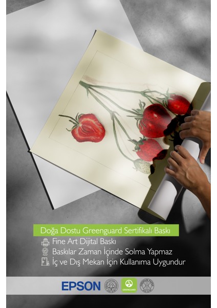 Siyah Çerçeveli Tablo, Kırmızı Çilek Eskizi, Mutfak Dekoru Poster No: 113525