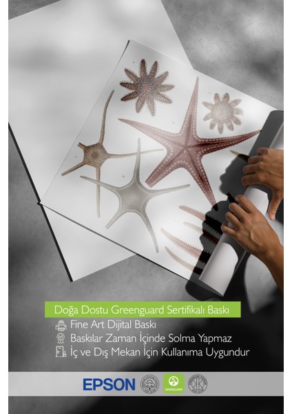 Ahşap Çerçeveli Tablo, Deniz Yıldızı ve Midye Çizimi, Banyo Dekoru Poster No: 113627