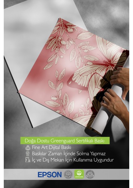 Çerçevesiz Poster, Pembe Arka Plan Kelebek Çizimi, Genç Odası Dekoru Poster No: 113508