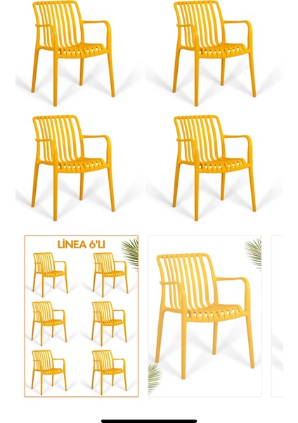 6 Lı Set Paris Bahçe Kafe Restorant Sandalyesi