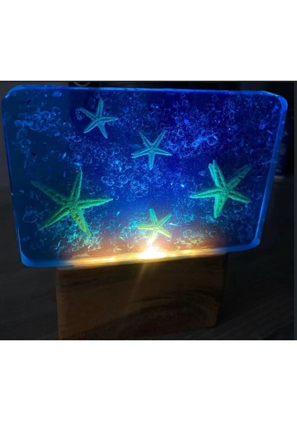 Epoksi Okyanus Işığı Denizyıldızı Lamba