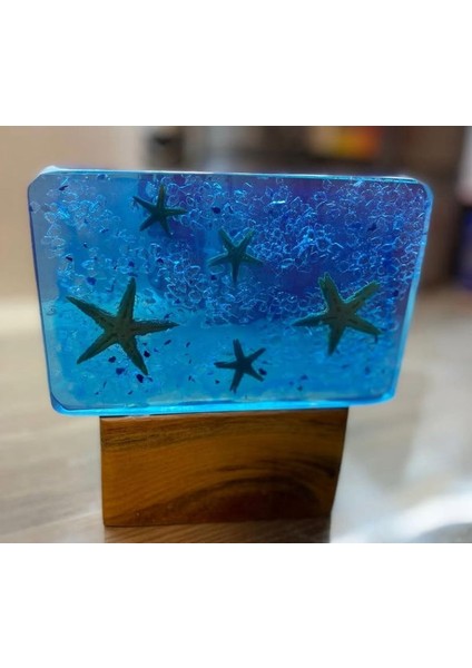 Epoksi Okyanus Işığı Denizyıldızı Lamba fiyatları