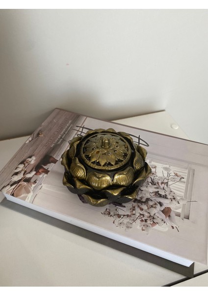 Geri Akış Tütsülük modelleri