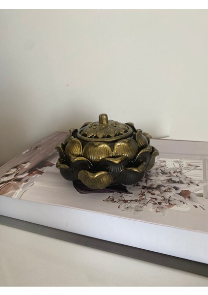 Geri Akış Tütsülük fırsatları