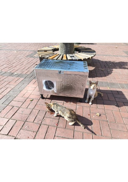 Kedi Evi Kedi Yuvası Kedi Barınağı Dış Mekan Su ve Soğuk %100 Korunaklı 70X36X40 cm indirimleri