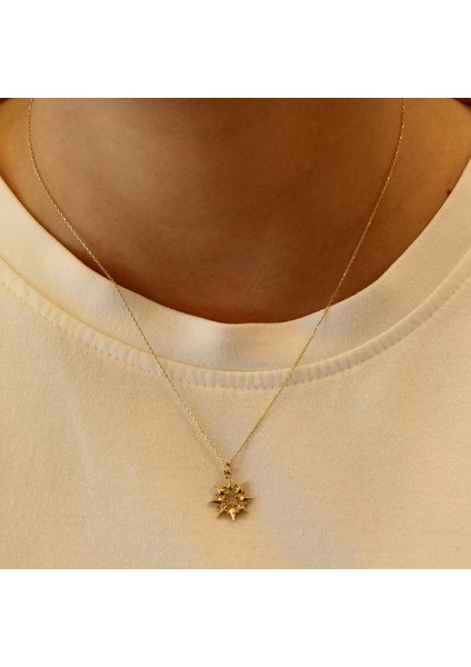 14 Ayar Altın Kuzey Yıldızı Kolye fiyatları