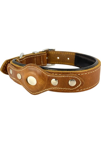 Canini Collar Hakiki Yağlı Deri Airtag Uyumlu Köpek Tasması – Dayanıklı, Konforlu ve Şık Tasarım, Airtag Bölmeli Gerçek Deriden Köpekler Için Tasma fırsatları