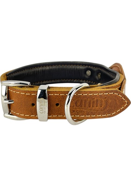 Canini Collar Hakiki Yağlı Deri Airtag Uyumlu Köpek Tasması – Dayanıklı, Konforlu ve Şık Tasarım, Airtag Bölmeli Gerçek Deriden Köpekler Için Tasma