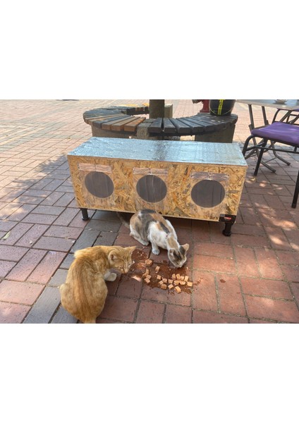 Kedi Evi Kedi Yuvası Kedi Kulübesi Iç ve Dış Mekan Için Uygun Özel Tasarım %100 Isı ve Su Yalıtımlı