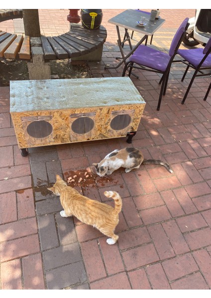 Kedi Evi Kedi Yuvası Kedi Kulübesi Iç ve Dış Mekan Için Uygun Özel Tasarım %100 Isı ve Su Yalıtımlı fiyatları