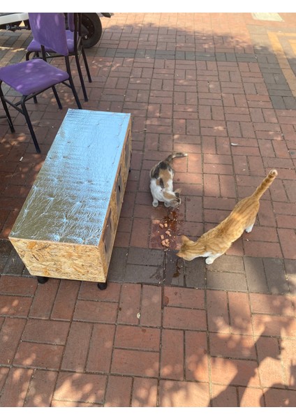 Kedi Evi Kedi Yuvası Kedi Kulübesi Iç ve Dış Mekan Için Uygun Özel Tasarım %100 Isı ve Su Yalıtımlı modelleri