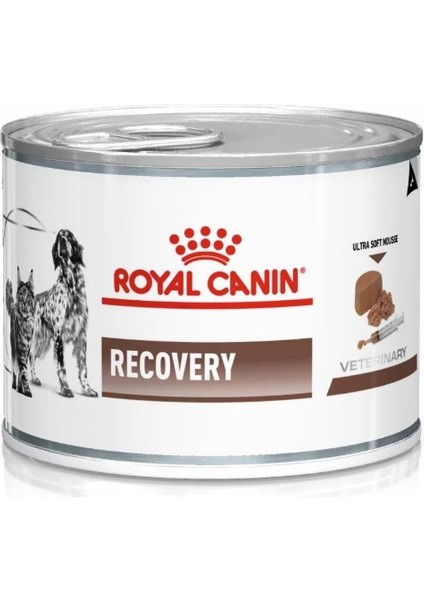 Recovery Pate Yoğun Bakım Maması 195 gr 6 ADET