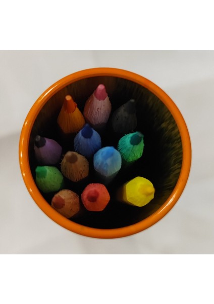 2 Adet Stickerli Boyama Kitabı ve 12 Li Tüp Kuruboya (Crybaby/pawpatrol) fırsatları