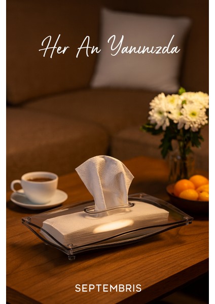 Şeffaf Kapaklı Modern Tasarım Peçetelik – 24X16 cm indirimleri