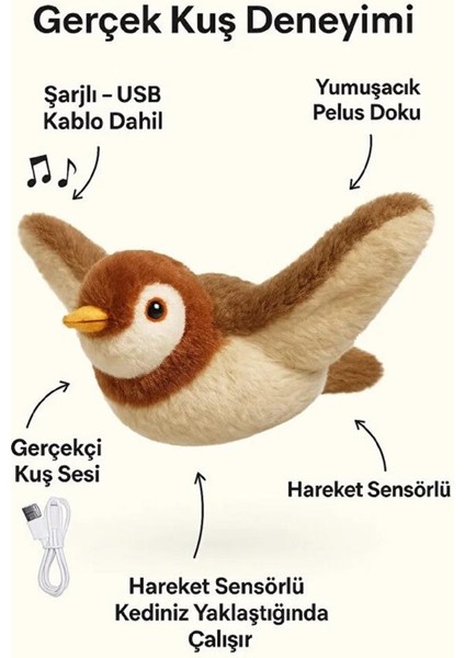 Peluş Kuş Kedi Oyuncağı Kanat Çırpan Sesli Olta Ipe Asılabilir Hareketli Şarjlı Oyuncak (Uçma Yok) modelleri