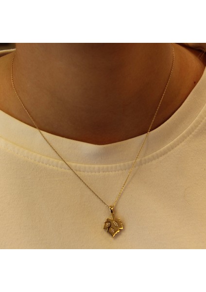 14 Ayar Altın Yaprak Kolye fiyatları