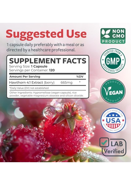 Hawthorn Berry 4:1 Extract Concentrated From 2660 Mg Berries Organık Alıç Meyvesi modelleri