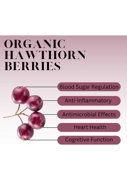 Hawthorn Berry 4:1 Extract Concentrated From 2660 Mg Berries Organık Alıç Meyvesi fırsatları