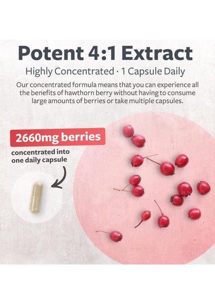 Hawthorn Berry 4:1 Extract Concentrated From 2660 Mg Berries Organık Alıç Meyvesi indirimleri