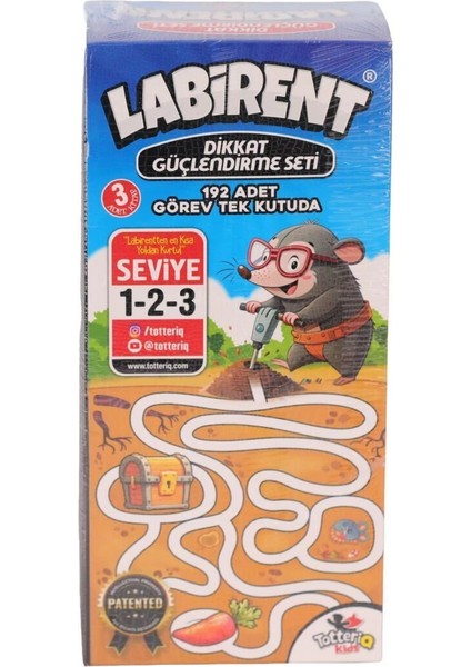 8238 Labirent