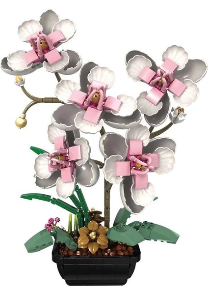 Flower Set Orkide 660 Prç modelleri