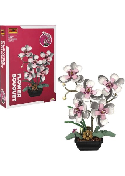 Flower Set Orkide 660 Prç fırsatları