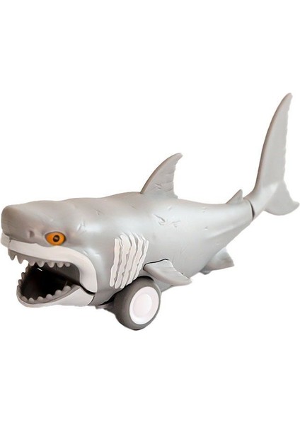 H-35 16LI Dısplayde Sürtmeli Su Altı Dünyası fiyatları