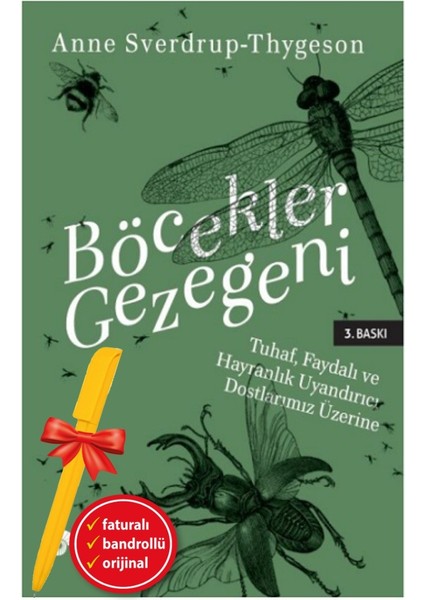 Alfa Kalem+ Böcekler Gezegeni (Anne Sverdrup Thygeson) Yeni Bilim Teknik Koç Üni Kitap