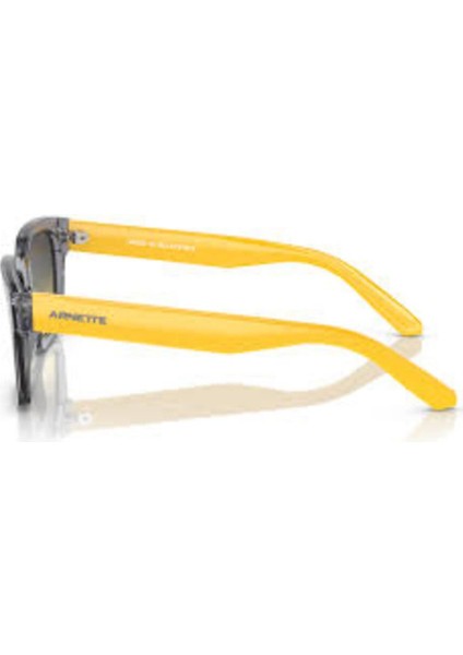 Güneş Gözlüğü AN4334 53 12432Q fiyatları