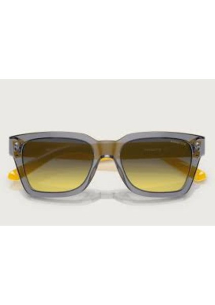 Güneş Gözlüğü AN4334 53 12432Q modelleri