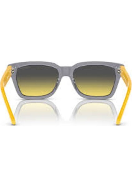 Güneş Gözlüğü AN4334 53 12432Q indirimleri