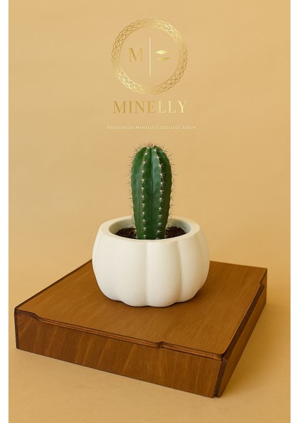 Pumpkin Touch Saksı – Minelly Özel Tasarım fırsatları