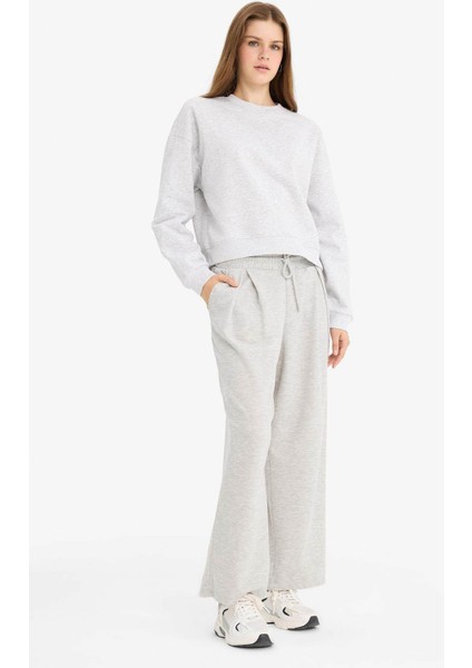 Regular Fit Bisiklet Yaka Kalın Kumaş Sweatshirt D6645AX25WN fiyatları