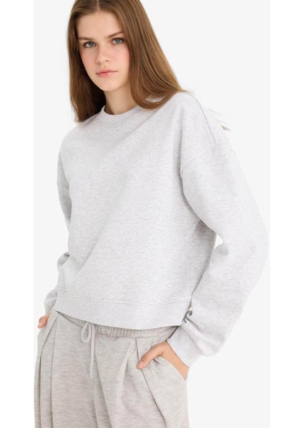 Regular Fit Bisiklet Yaka Kalın Kumaş Sweatshirt D6645AX25WN modelleri