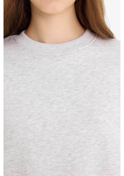 Regular Fit Bisiklet Yaka Kalın Kumaş Sweatshirt D6645AX25WN indirimleri