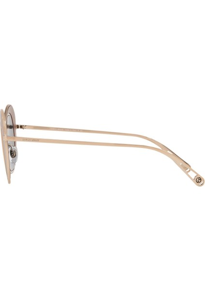 AR6073 47 3011/4Z Güneş Gözlüğü modelleri