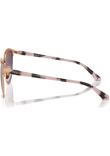 4303S 51708H 56 Kadın Güneş Gözlüğü Kadın Güneş Gözlüğü fiyatları