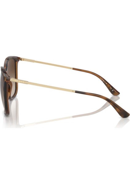 VO5564S 238613 54 Kadın Güneş Gözlüğü fiyatları