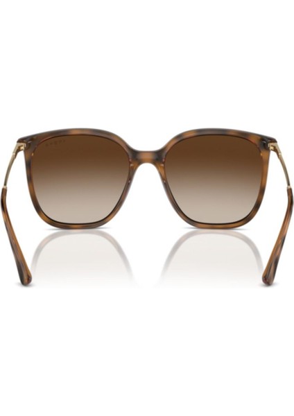 VO5564S 238613 54 Kadın Güneş Gözlüğü modelleri