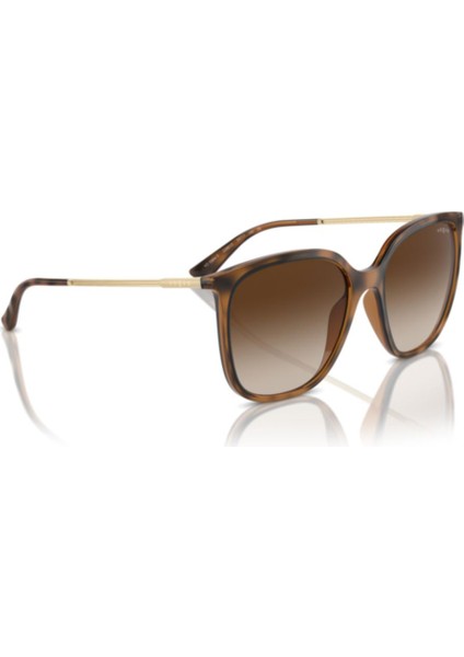 VO5564S 238613 54 Kadın Güneş Gözlüğü fırsatları