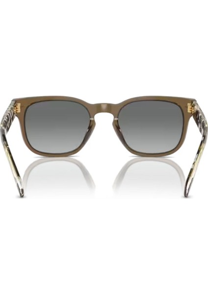 5571S 314411 53 Erkek Güneş Gözlüğü Erkek Güneş Gözlüğü modelleri