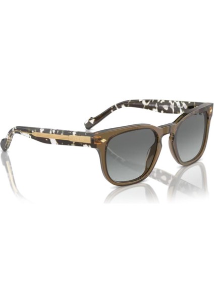 5571S 314411 53 Erkek Güneş Gözlüğü Erkek Güneş Gözlüğü fırsatları