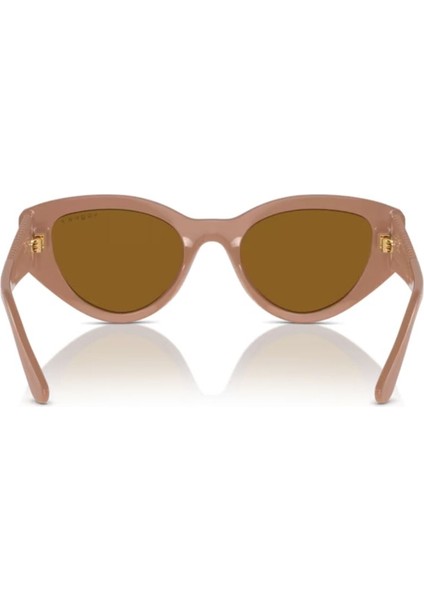 5566S 312183 52 Kadın Güneş Gözlüğü Kadın Güneş Gözlüğü modelleri