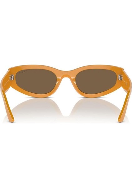 5585-S 315973 54-0 Güneş Gözlüğü modelleri